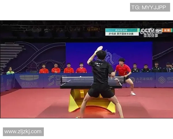 杭州乒乓球队在全国锦标赛中的技术表现分析与点评